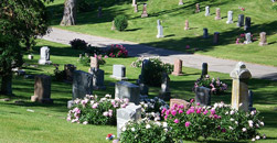Neill Schwensen Funeral Home